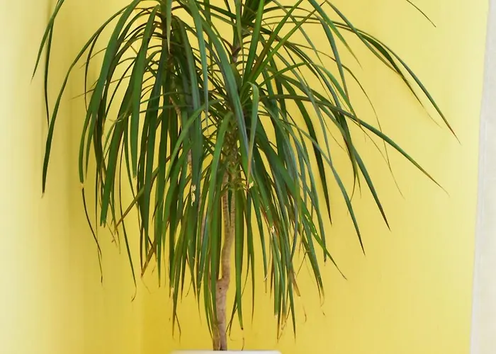 Alex Botique Варна