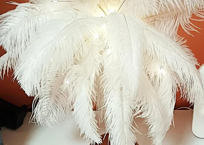 Alex Botique Варна