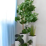Alex Botique Apartment Varna