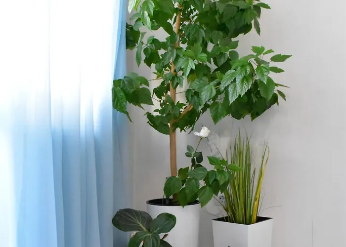 Alex Botique Apartment Warna